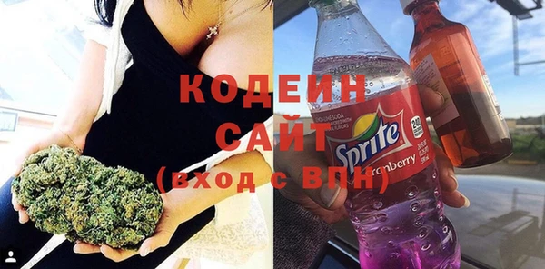 индика Протвино