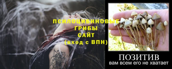 кокаин колумбия Алексин