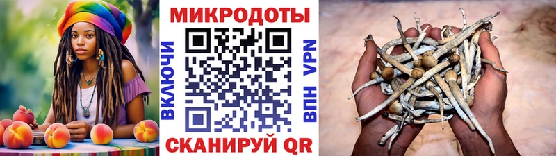 магазин продажи   blacksprut маркетплейс  Галлюциногенные грибы MAGIC MUSHROOMS  Калач-на-Дону 